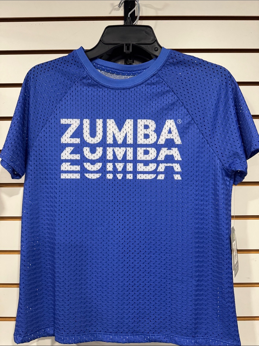 Zumba Fitness Blue Short Sleeve Mesh Logo Tee